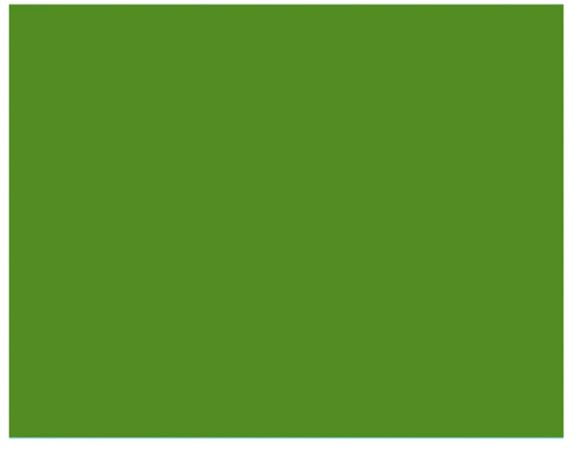 2,72X11M Savage Seamless Paper Backdrop (Green)