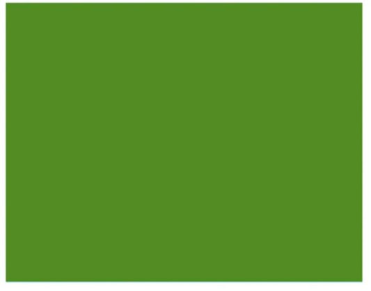 2,72X11M Savage Seamless Paper Backdrop (Green)
