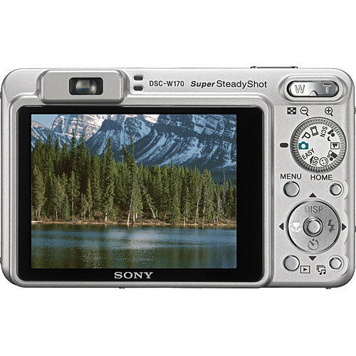 Sony SuperSteadyShot DSC-W170 Digital Camera (Used)
