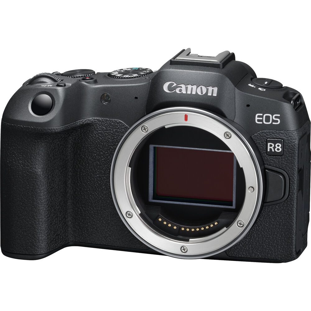 Canon Eos R8 Mirrorless Camera + Rf 24-50mm F/4.5-6.3 Is Stm Lens