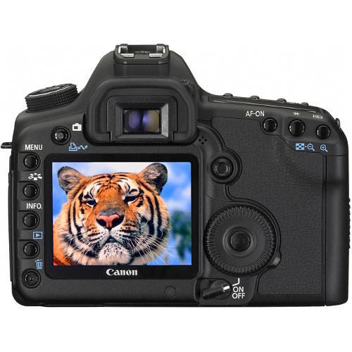 Canon 5D Mark II with A 50mm lens f1:8 STM lens – S A Camera Land