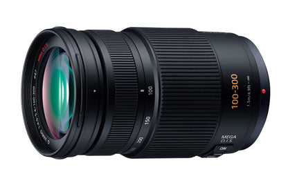 Panasonic AG-AF101E +100-300mm Panasonic Lumix Lens