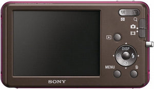 Sony SteadyShot DSC-W310 Digital Camera (Used)