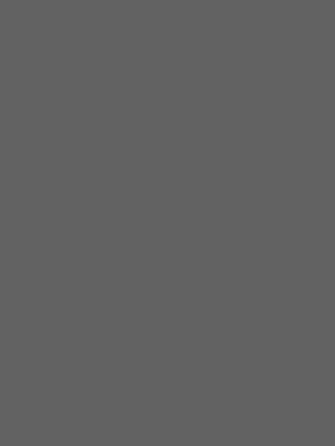 3X6M PVC Vinyl Studio Backdrop Nude Grey with black backing and stands