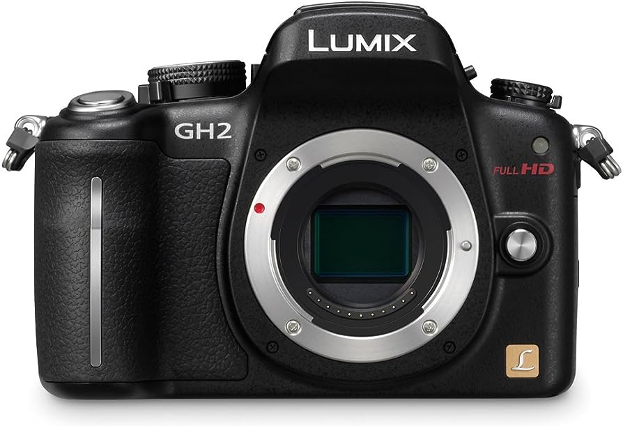 Used: Panasonic LUMIX GH2 with 14-45mm lens