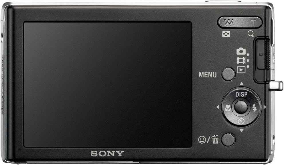 Sony SteadyShot DSC-W190 Digital Camera (Used)