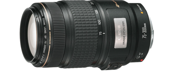 Canon EF 75-300mm F4-5.6 IS USM (Used)