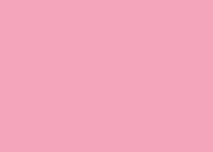 2,72X11M Savage Seamless Paper Backdrop (Carnation Pink)