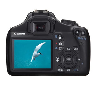Used: Canon 1100D with 18-55mm Lens
