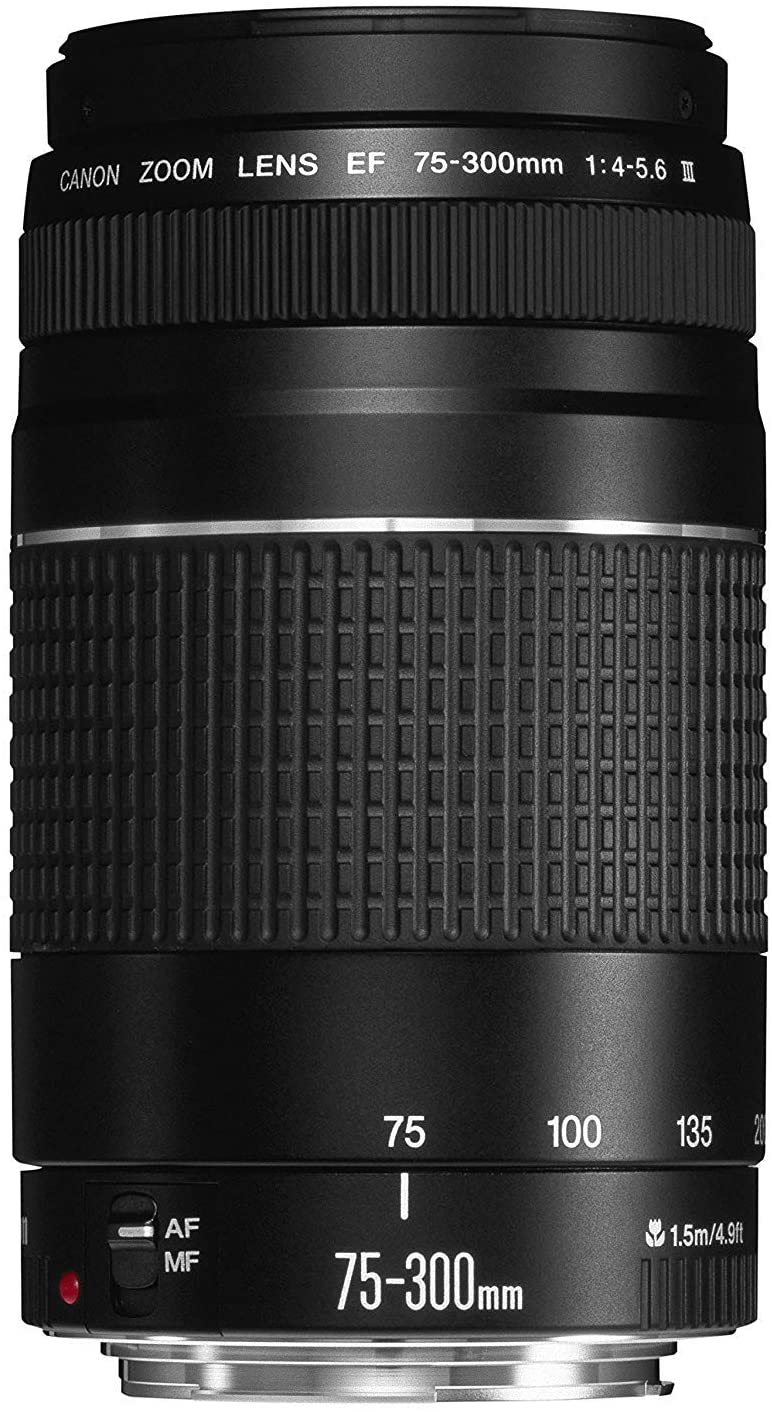 Canon EF 75-300mm f/4-5.6 III Telephoto Zoom Lens for Canon SLR Cameras