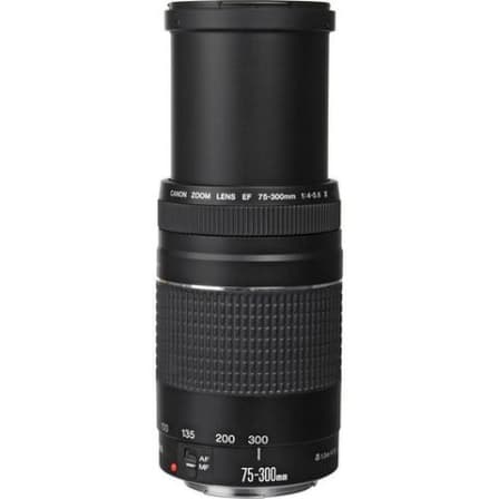 Canon EF 75-300mm f/4-5.6 III Telephoto Zoom Lens for Canon SLR Cameras (Used)