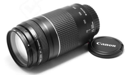 Canon EF 75-300mm f/4-5.6 III Telephoto Zoom Lens for Canon SLR Cameras (Used)