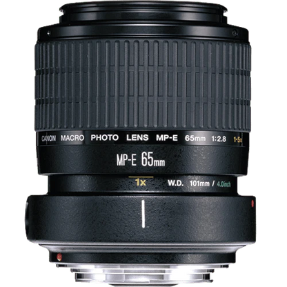Used: Canon MP-E 65mm f/2.8 (1-5x) Macro Lens