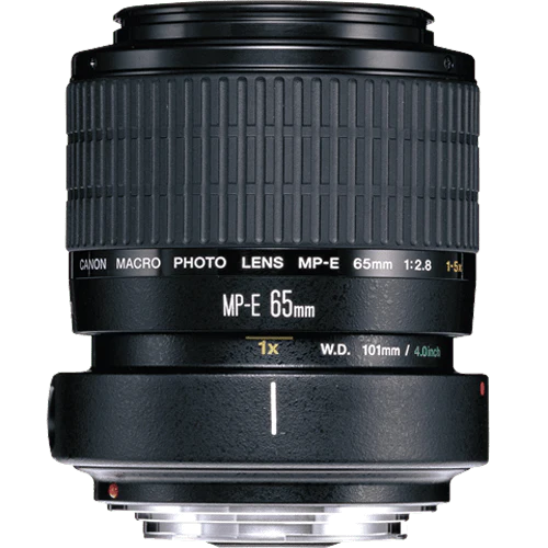 Used: Canon MP-E 65mm f/2.8 (1-5x) Macro Lens