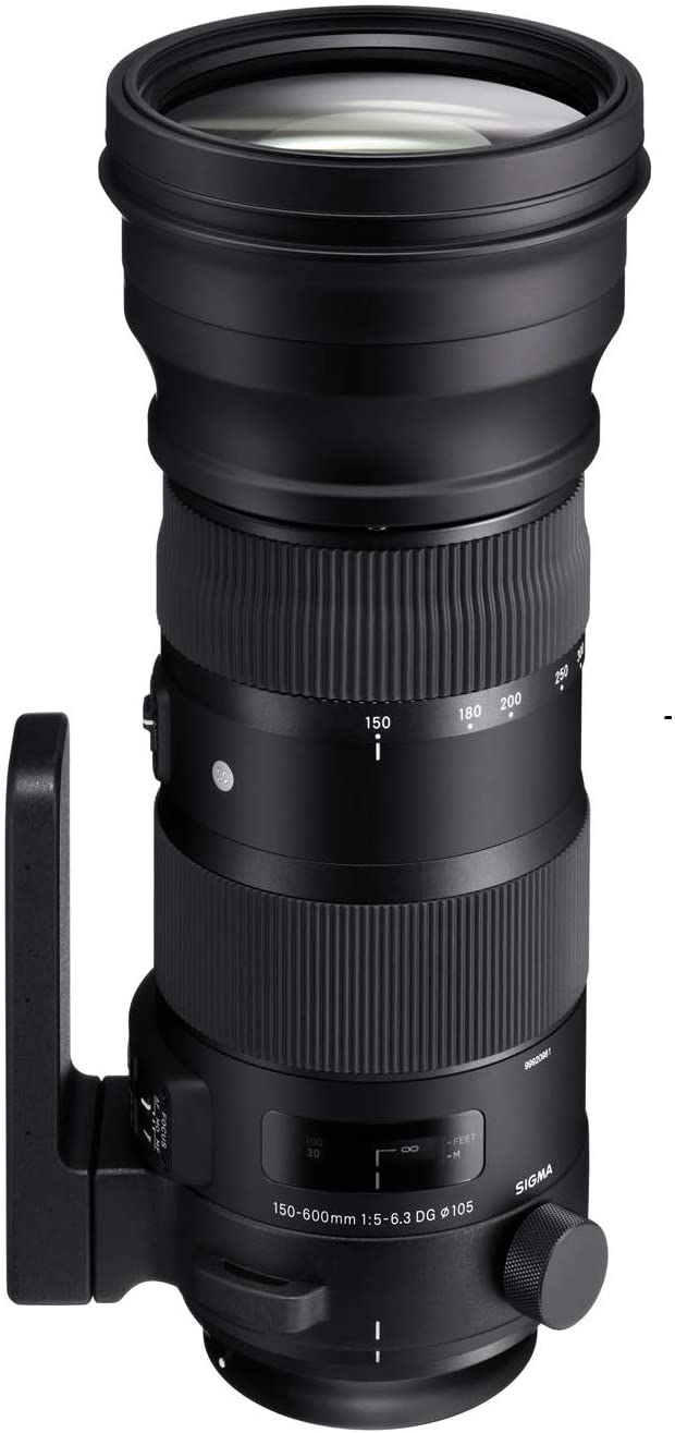 Used: Sigma 150-600mm F/5-6.3 DG OS HSM Sport Lens (canon EF)