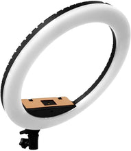 Load image into Gallery viewer, 14 Inch Dimmable Ring Light Kit
