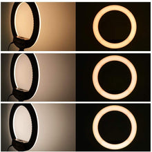 Load image into Gallery viewer, 14 Inch Dimmable Ring Light Kit

