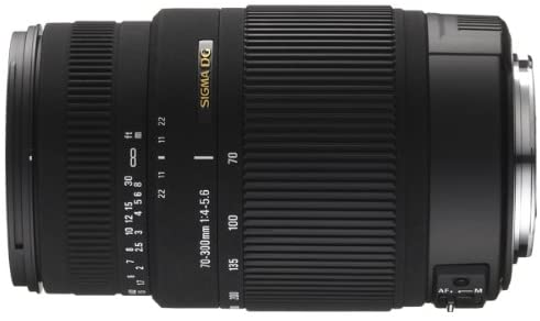 Sigma 70-300mm f/4-5.6 DG Macro Telephoto Zoom Lens for Canon SLR Cameras(Used)